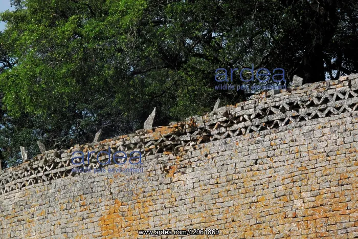  : Great Zimbabwe Wall - Great Zimbabwe