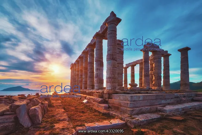 : Greece Cape Sounio. Ruins of an ancient temple of : Greece Cape Sounio. Ruins of an ancient temple of