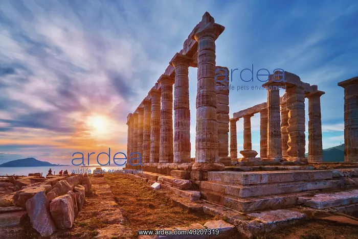 : Greece Cape Sounio. Ruins of an ancient temple o : Greece Cape Sounio. Ruins of an ancient temple o
