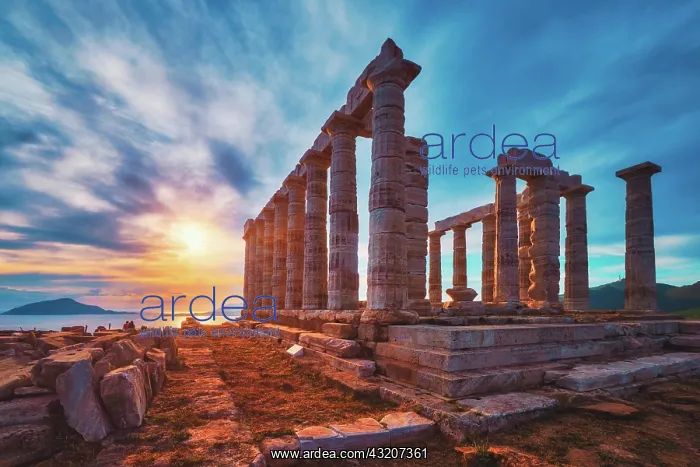 : Greece Cape Sounio. Ruins of an ancient temple o : Greece Cape Sounio. Ruins of an ancient temple o