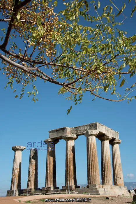 : Greece, Corinth, Ancient Corinth. Once the : Greece, Corinth, Ancient Corinth. Once the