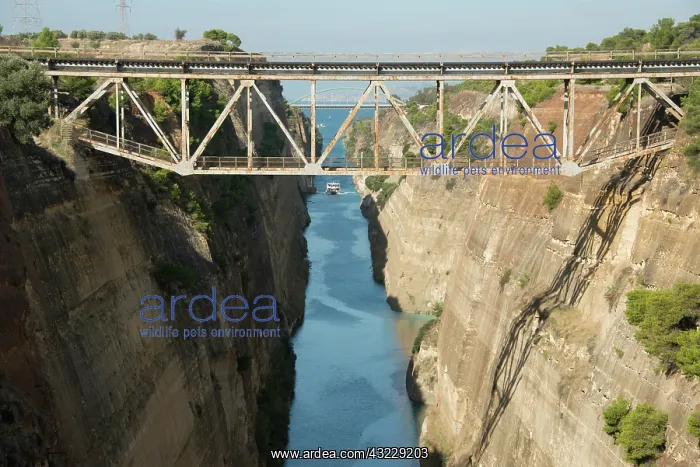: Greece, Corinth, Corinth Canal. 76-foot : Greece, Corinth, Corinth Canal. 76-foot
