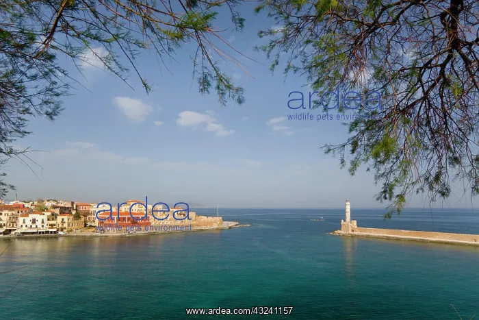 : Greece, Crete. Harbor at Rethymnon : Greece, Crete. Harbor at Rethymnon