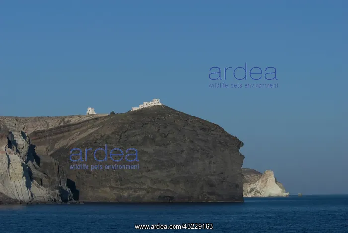 : Greece, Cyclades, Island of Santorini (aka : Greece, Cyclades, Island of Santorini (aka