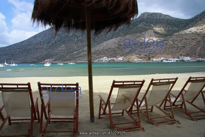 : Greece, Cyclades, Sifnos. The beach in Sifnos : Greece, Cyclades, Sifnos. The beach in Sifnos