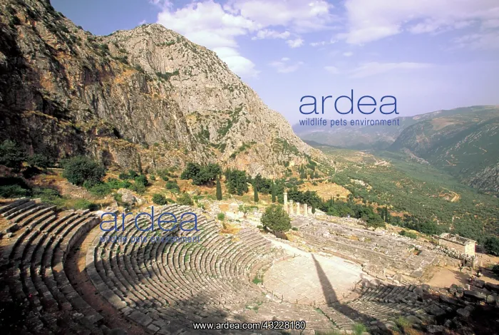 : Greece, Delphi. Greek Theater (4c. - 2c : Greece, Delphi. Greek Theater (4c. - 2c