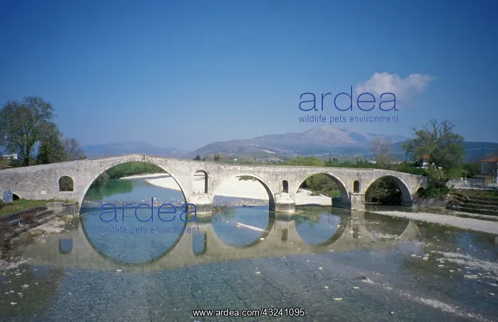 : Greece, Epirus, Arta. The fabled Bridge : Greece, Epirus, Arta. The fabled Bridge