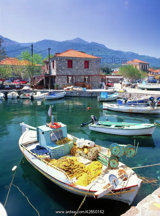 : Greece - Greek fishing port : Greece - Greek fishing port
