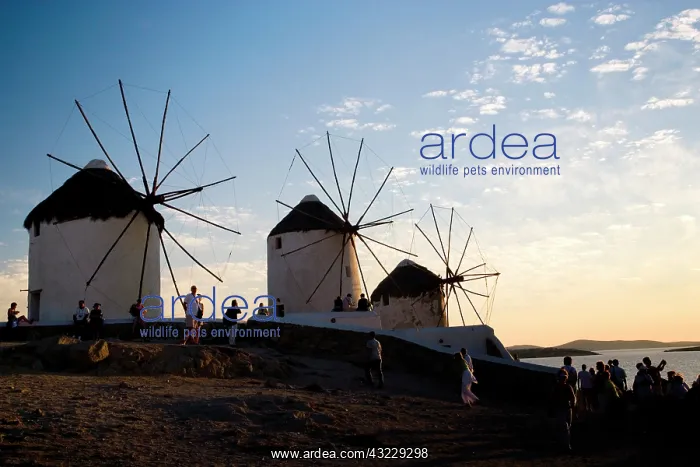 : Greece and Greek Island of Mykonos and the : Greece and Greek Island of Mykonos and the