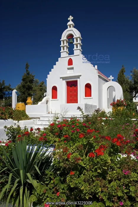 : Greece and Greek Island of Mykonos and one : Greece and Greek Island of Mykonos and one