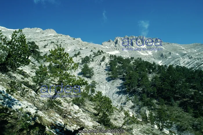  : GREECE - MOUNT OLYMPUS