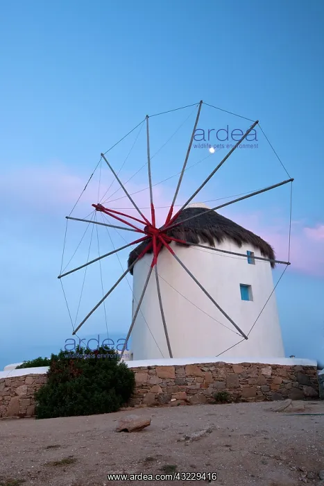 : Greece, Mykonos, Hora, Windmill Evening : Greece, Mykonos, Hora, Windmill Evening