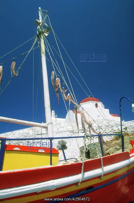  : GREECE - Mykonos Island