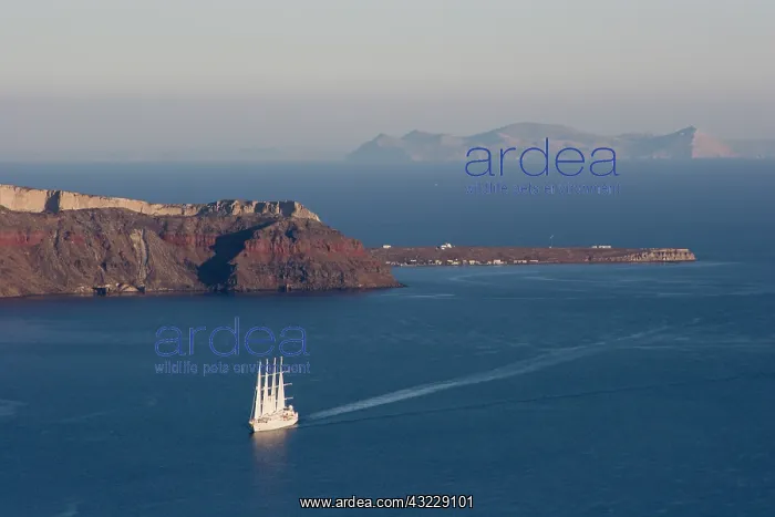 : Greece, Santorini. Four-masted luxury ship : Greece, Santorini. Four-masted luxury ship