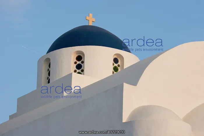 : Greece, Santorini. White church with blue : Greece, Santorini. White church with blue
