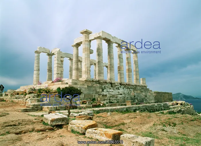 : Greece - Temple at Cape Sounio National Park : Greece - Temple at Cape Sounio National Park