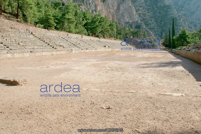 : Greek Art. Archaeological site in the Valley : Greek Art. Archaeological site in the Valley