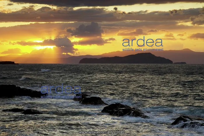 : Greek Island of Crete and old town of Chania : Greek Island of Crete and old town of Chania