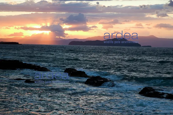 : Greek Island of Crete and old town of Chania : Greek Island of Crete and old town of Chania