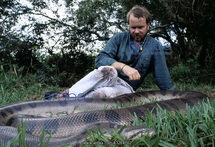 : Green ANACONDA - With scientist : Green ANACONDA - With scientist
