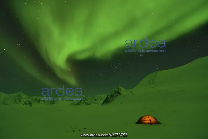 : Green Aurora borealis on a bivouac on the Kolding : Green Aurora borealis on a bivouac on the Kolding
