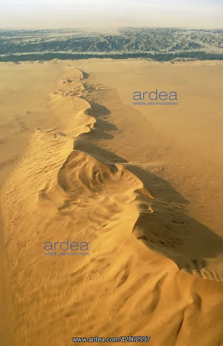 : The green belt of the dry Kuiseb riverbed (in the : The green belt of the dry Kuiseb riverbed (in the