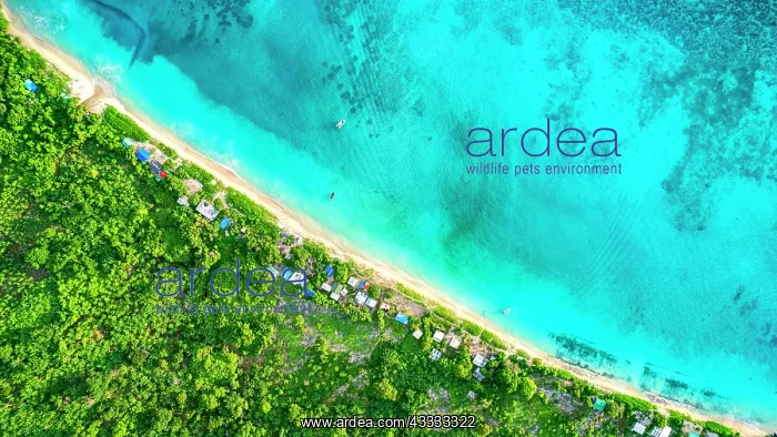 : Green & Blue, Aerial view of the fishermen's bea : Green & Blue, Aerial view of the fishermen's bea