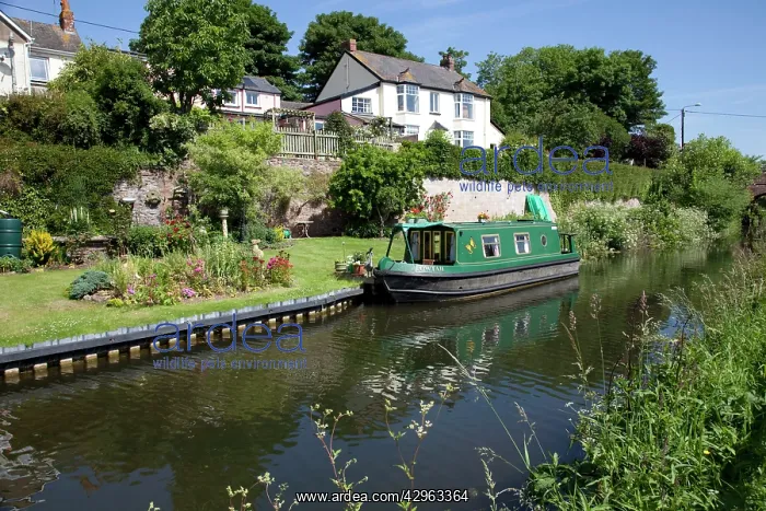 : Green Canal Barge - moored on Grand Western Union : Green Canal Barge - moored on Grand Western Union