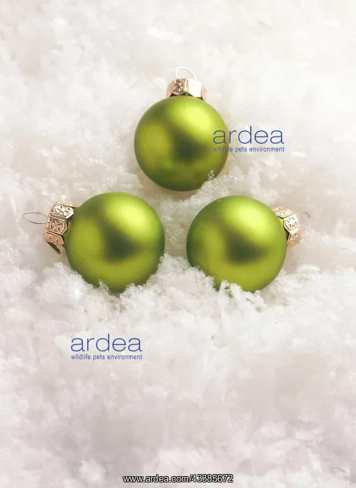 : Three green Christmas baubles in the snow, Christmas : Three green Christmas baubles in the snow, Christmas