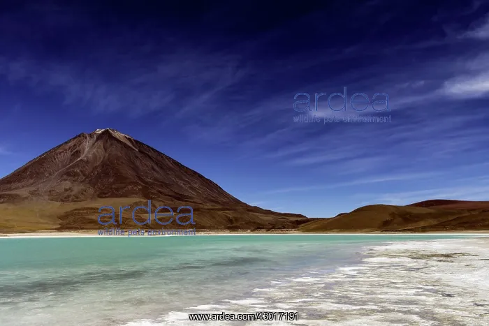 : Green Lagoon