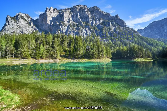  : Green lake on a sunny day, reflection of the mountain