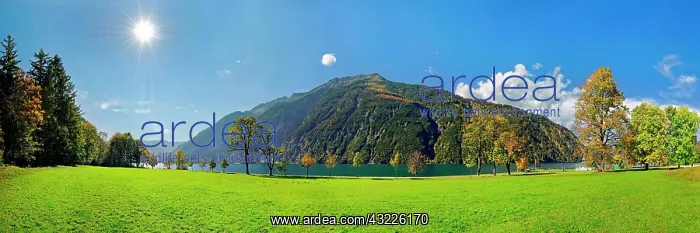 : Green meadow with Lake Achensee and autumn-coloured : Green meadow with Lake Achensee and autumn-coloured