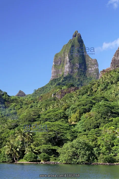 : Green Mountain Range with highest peak, Mont Tohiea : Green Mountain Range with highest peak, Mont Tohiea