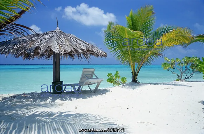 : Green palm, blue sky, turquoise sea, white sand : Green palm, blue sky, turquoise sea, white sand