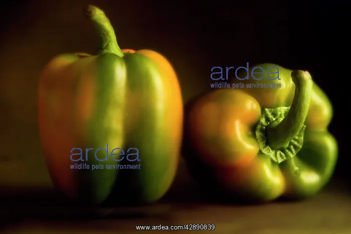  : Green Peppers - two