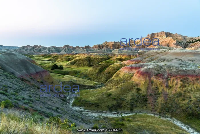 : The green valley with dry creek is fed by the run : The green valley with dry creek is fed by the run
