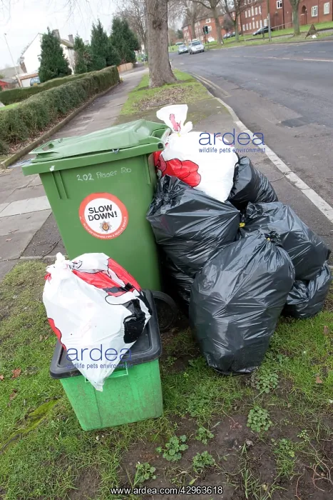 : Green wheelie bin overflowing with domestic rubbish : Green wheelie bin overflowing with domestic rubbish