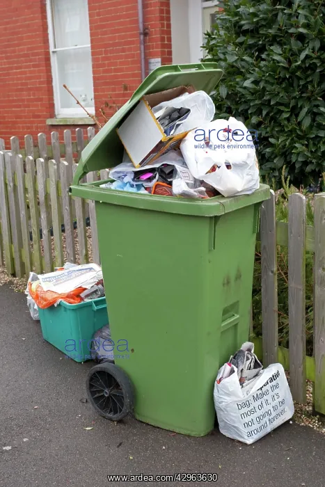 : Green wheelie bin overflowing with domestic rubbish : Green wheelie bin overflowing with domestic rubbish