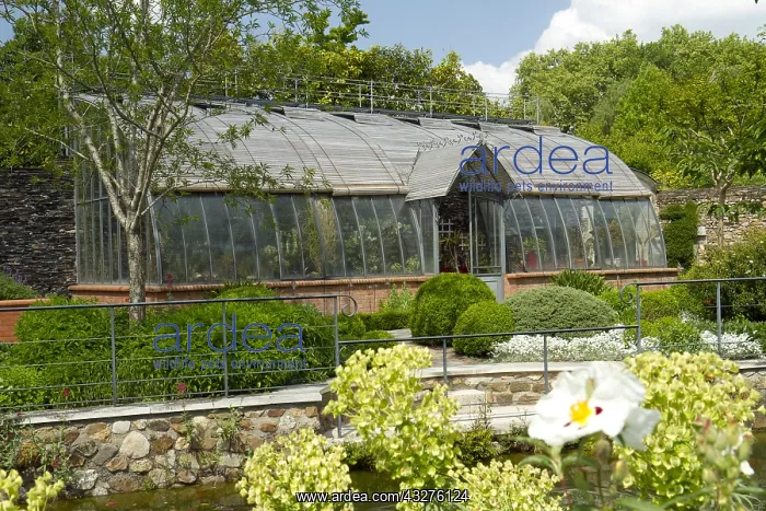 : Greenhouse, garden of the Gaston Allard arboretum : Greenhouse, garden of the Gaston Allard arboretum