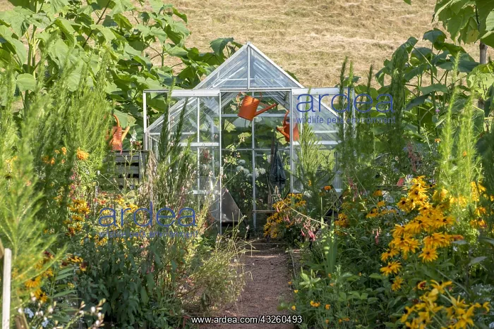 : Greenhouse in a garden, summer, Moselle, France : Greenhouse in a garden, summer, Moselle, France