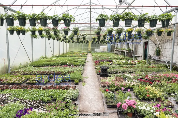: Greenhouse horticulturist greenhouse in spring : Greenhouse horticulturist greenhouse in spring