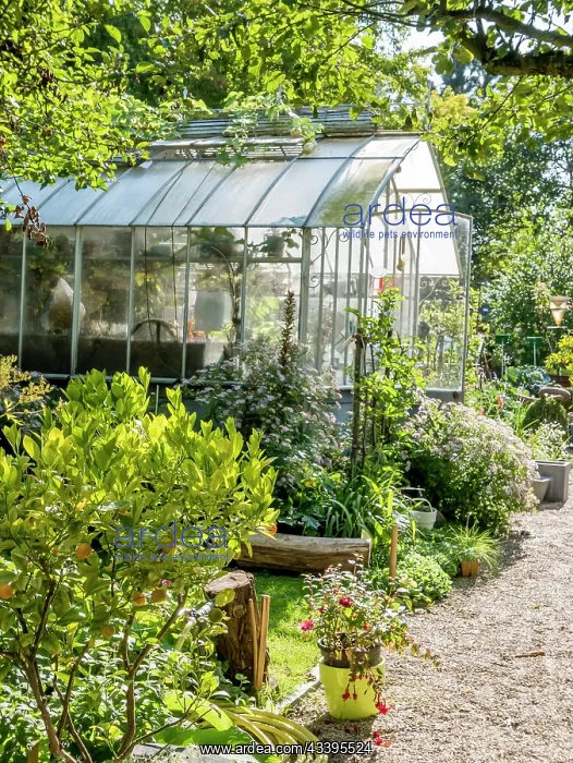 : Greenhouse, Jardin Insolite, Parc Floral Vincennes : Greenhouse, Jardin Insolite, Parc Floral Vincennes