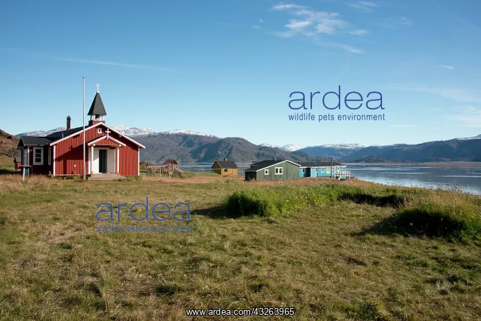 : Greenland, Brattahlid (Qassiarsuk). Viking : Greenland, Brattahlid (Qassiarsuk). Viking