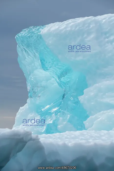  : Greenland, Disko Island. Blue iceberg along the Kuannit