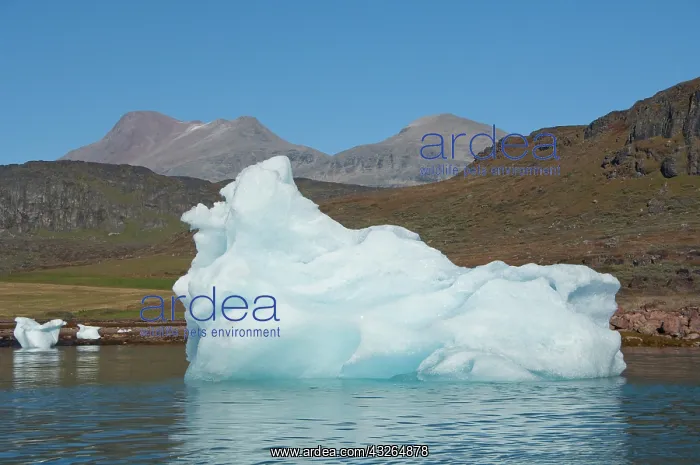 : Greenland, Erik's Fjord (aka Eriksfjord) : Greenland, Erik's Fjord (aka Eriksfjord)
