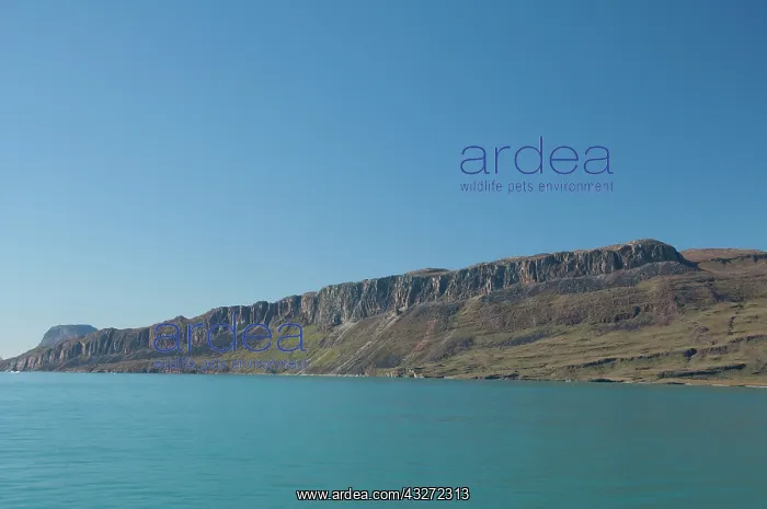 : Greenland, Erik's Fjord (aka Eriksfjord) : Greenland, Erik's Fjord (aka Eriksfjord)