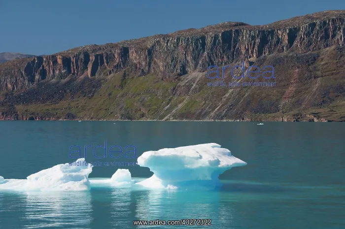 : Greenland, Erik's Fjord (aka Eriksfjord)