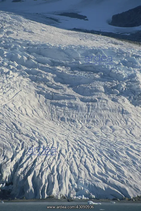  : Greenland Glacier