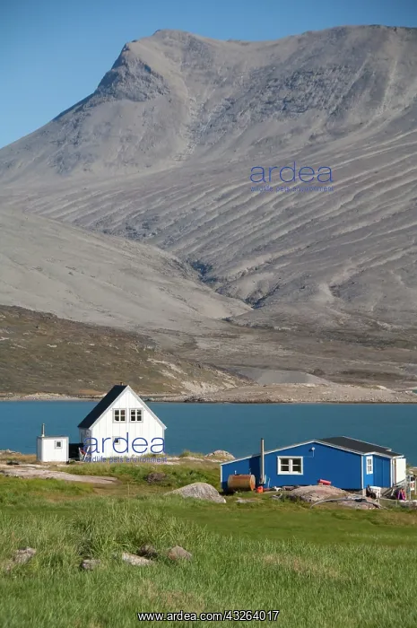 : Greenland, Igaliku (aka Igaliko), Igaliku : Greenland, Igaliku (aka Igaliko), Igaliku