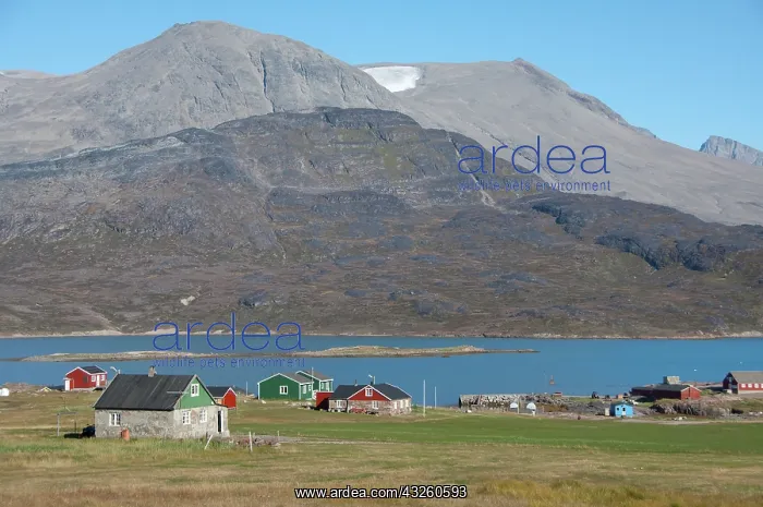  : Greenland, Igaliku. Small settlement on